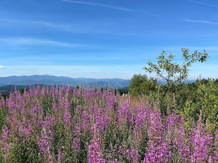 Blizej Nieba Koskowa Gora Vila Bogdanowka Exterior foto