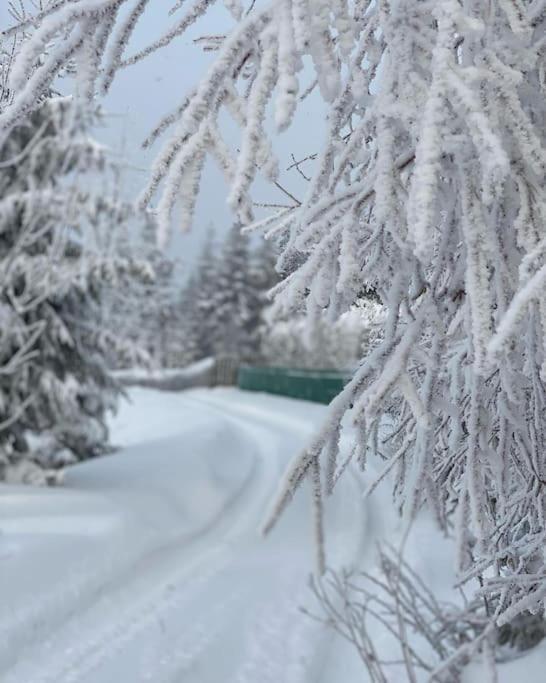 Blizej Nieba Koskowa Gora Vila Bogdanowka Exterior foto